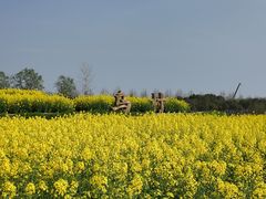 -乌村
