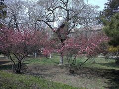 -辽宁大学(崇山校区)