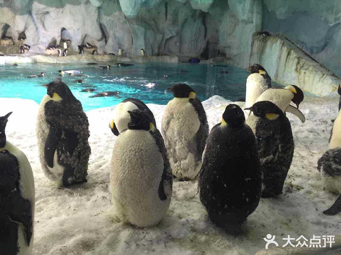 珠海长隆海洋王国