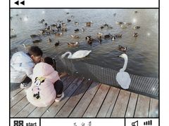 -盐城丹顶鹤湿地生态旅游区