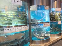 -老船舫·现做活鲜鱼馆(东郊记忆店)