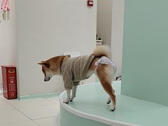 -怪兽屋·羊驼·猫咖·狗咖(俊华广场店)