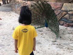 -燕塞湖鸟语林景区