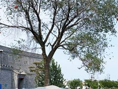 -河东池盐文化博览园