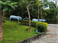 -深圳野生动物园