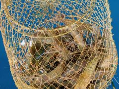 -SHRIMP CLUB万东餐饮钓虾·清吧