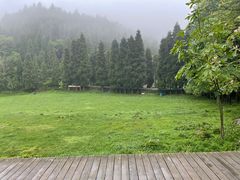 -武陵山森林公园