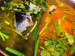 -新凯里酸汤鱼(飞山街店)