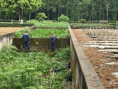 -重庆彩云湖湿地公园