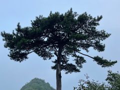 -秦岭终南山世界地质公园翠华山景区