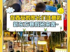 -新东方学习规划(南二环第一校区)