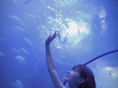 -左海海底世界