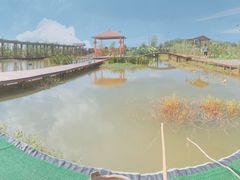 -同銮特种养殖场·龙虾垂钓