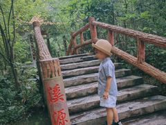 -大屏嶂森林公园