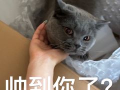 -北京观赏动物医院·24小时大型综合·猫专科·异宠专科