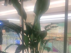-旺顺阁鱼头泡饼(常营店)