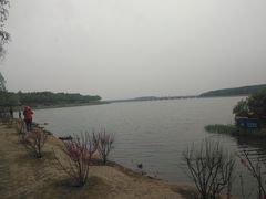 -丁香湖公园