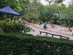 -滴水岩森林公园