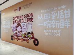 -沈阳HAI乐园