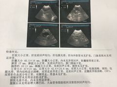 -派美特宠物医院·核磁CT·骨科肿瘤·疑难转诊(沈农禾丰店)