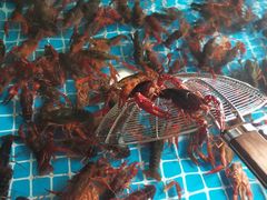 -青岛贝壳博物馆