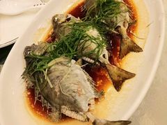-外沙疍家棚酒楼