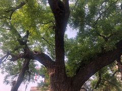 -洛阳周公庙博物馆