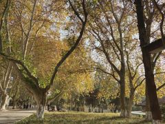 -T80科技文化国际社区-停车场