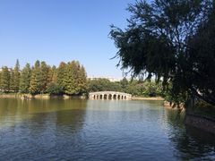 iphone_upload_pic-四海公园(南山区)