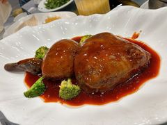 -丁老爷子苏香圆