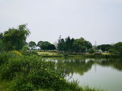 -洋湖国家湿地公园