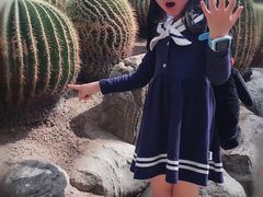 -南山植物园