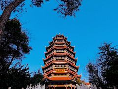 -铁山坪森林公园