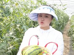-庞各庄西瓜蔬菜采摘园·锦华瓜园