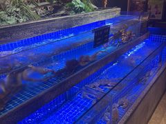 -鸽子侯·家宴·平价海鲜(绿地店)