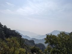 -大岭沟猕猴桃谷风景区