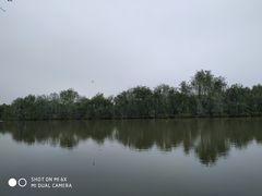 -大湾区中央湿地公园