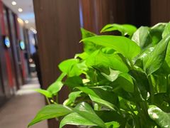 -喜湘宴·精致湖南菜(和平西桥店)