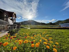 -长白山万达喜来登度假酒店