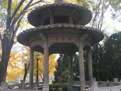 -玲珑塔公园