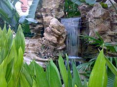 假山瀑布-绿色时代大酒店