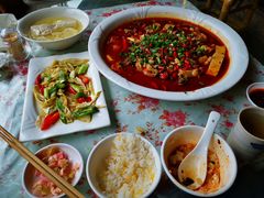 -龙翔山庄雷鸡肉(青城后山泰安古镇店)