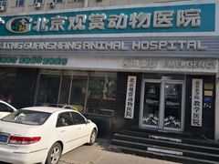 -北京观赏动物医院·24小时大型综合·猫专科·异宠专科