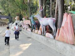 -观澜山水田园