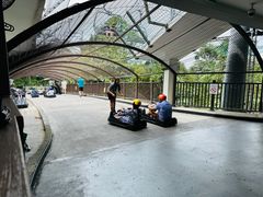 -圣淘沙天际线斜坡滑车