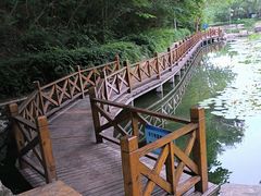 -云岗森林公园