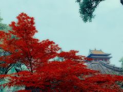 -台儿庄古城