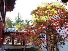 -堤角公园