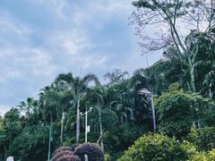 -广州都喜泰丽温泉度假酒店