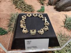 -北京周口店北京人遗址博物馆
